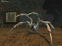 EverQuest 2: The Splitpaw Saga