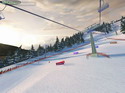Ski Racing 2006