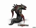 Shadowgrounds