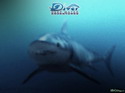 Diver: Deep Water Adventures