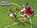 Crazy Kickers