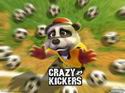 Crazy Kickers