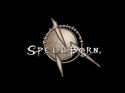 The Chronicles of Spellborn