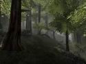 The Lord of the Rings Online: Shadows of Angmar