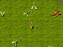 Conquer Online