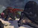 Guild Wars: Factions