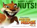 Over The Hedge
