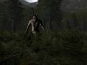Warhammer Online: Age of Reckoning