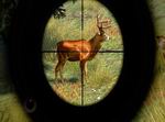 Cabela's Outdoor Adventures 2009