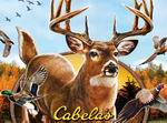 Cabela's Outdoor Adventures 2009