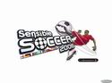 Sensible Soccer 2006