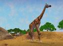 Zoo Tycoon 2: African Adventure
