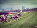 Melbourne Cup Challenge