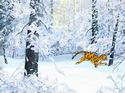 Rescue: The Russian Leopard