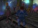 EverQuest 2: Echoes of Faydwer