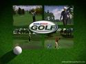 ProStroke Golf: World Tour 2007