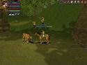 Hero Online