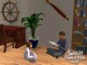 The Sims 2: Family Fun Stuff