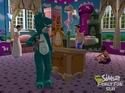 The Sims 2: Family Fun Stuff