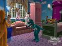 The Sims 2: Family Fun Stuff