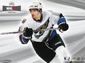 NHL 07