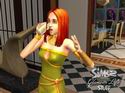 The Sims 2: Glamour Life Stuff