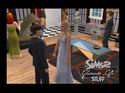 The Sims 2: Glamour Life Stuff