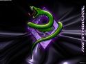 ThreadSpace: Hyperbol