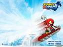 Sonic Riders