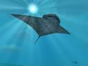 Zoo Tycoon 2: Marine Mania