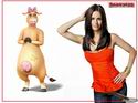 Barnyard