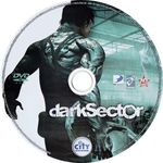 Dark Sector