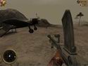 World War II Combat: Iwo Jima