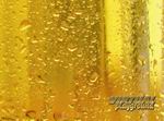 Beer Tycoon