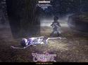 Neverwinter Nights: Wyvern Crown of Cormyr