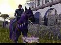 Neverwinter Nights: Wyvern Crown of Cormyr