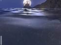 Bloody Waters: Terror from the Deep