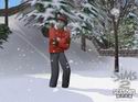 The Sims 2: Seasons