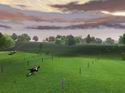 Equestrian Challenge