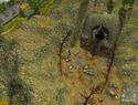 Sacred 2: Fallen Angel