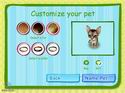 Catz 6