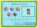 Catz 6