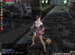 Ran Online