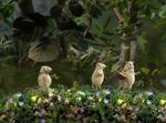 Three Little Mice