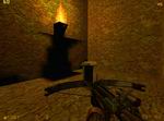 Half-Life: Conundrum