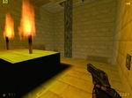 Half-Life: Conundrum