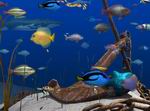 Big Kahuna Reef 2: Chain Reaction