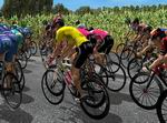 Pro Cycling Manager 2007