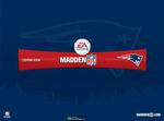 Madden NFL 08