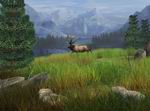 Big Buck Hunter Pro